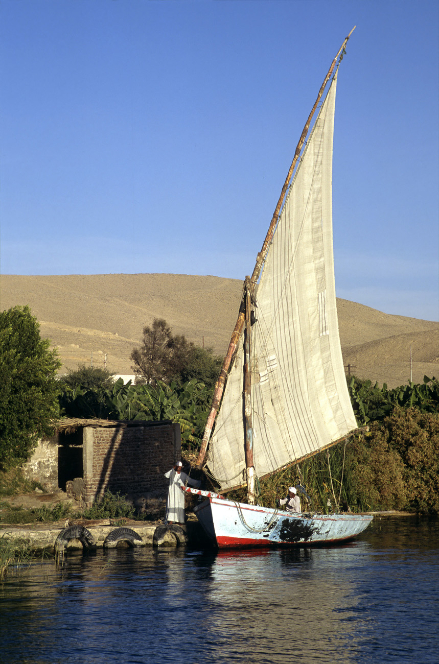 egyp04_29 nil felouque.jpg - Sur le Nil une felouque Provia 100 F